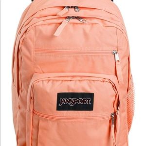 Jansport Coral College Backpack